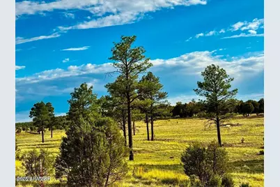 Tbd Flake Rd Lots L & P 2.54 Acres -- #-, Aripine, AZ 85933 - Photo 1