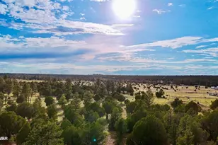 Tbd Flake Rd Lots N & K 2 54 Acres --, Aripine, AZ 85933 - Photo 1