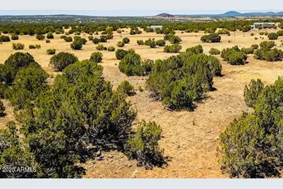 8692 Supancheck Road #45, Show Low, AZ 85901 - Photo 1