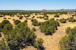 8692 Supancheck, Show Low, AZ 85901 - Photo 1