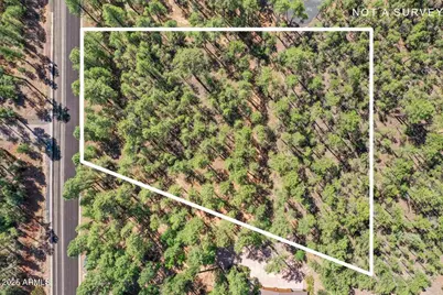 2280 S Bristlecone, Show Low, AZ 85901 - Photo 1