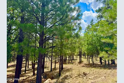 2684 Apache, Happy Jack, AZ 86024 - Photo 1