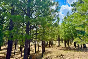 2684 Apache, Happy Jack, AZ 86024 - Photo 1