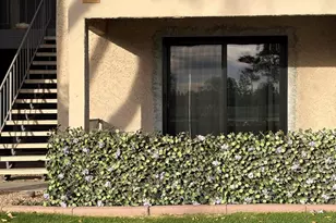 1920 W Lindner Ave W, Mesa, AZ 85202 - Photo 1