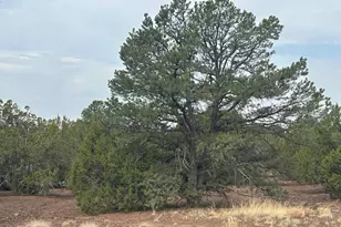 Lot 2 Stanford Dr, Vernon, AZ 85940 - Photo 1