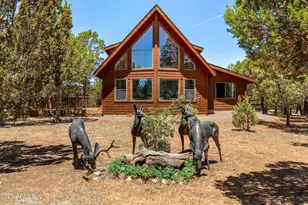 2796 Chandelle Ln, Overgaard, AZ 85933 - Photo 1