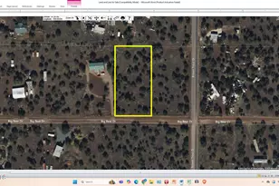 8488 W Big Bear, Show Low, AZ 85901 - Photo 1