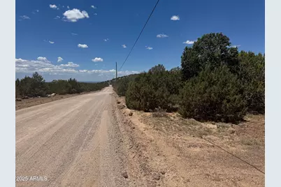 171 Acr 8088 -- #445, Concho, AZ 85924 - Photo 1