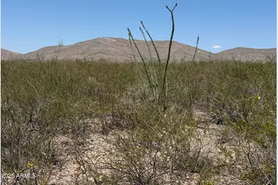 Lot 114 Valley Springs -- #114, Douglas, AZ 85607 - Photo 1