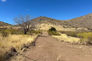 Tbd Carr Canyon Rd --, Hereford, AZ 85615 - Photo 1