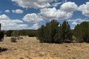 77 Co Rd 8020 --, Concho, AZ 85924 - Photo 1