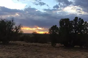 14 Eagle, Snowflake, AZ 85937 - Photo 1