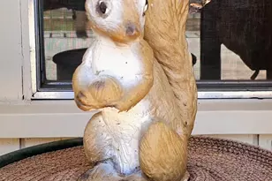 600 E Ox Bow Rd, Munds Park, AZ 86017 - Photo 1