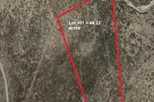 44 23Ac W Grey Bear, Willcox, AZ 85643 - Photo 1