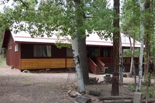 38 Highlands Dr, Alpine, AZ 85920 - Photo 1