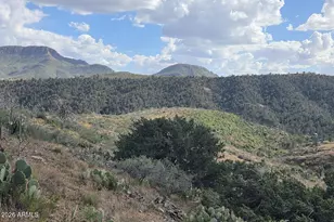 10Xx E Horseshoe Springs Rd, Globe, AZ 85501 - Photo 1