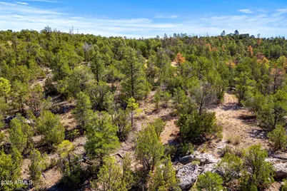 3656 Zane Grey Trail #60, Overgaard, AZ 85933 - Photo 1