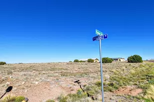 1150 S Meadow Way, Taylor, AZ 85939 - Photo 1