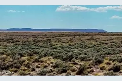 Tbd County Road N7012 40 Acres -- #-, Sanders, AZ 86512 - Photo 1