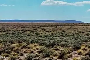 Tbd County Road N7012 40 Acres --, Sanders, AZ 86512 - Photo 1