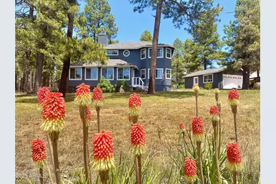 867 Crestview Drive, Mormon Lake, AZ 86038 - Photo 1