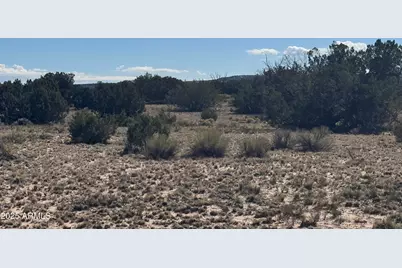 Lor 736 Woodland Valley Ranch -- #736, Saint Johns, AZ 85936 - Photo 1