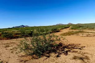 Tbd N High Lonesome Rd, Elfrida, AZ 85610 - Photo 1