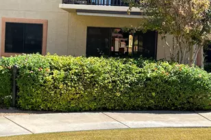 10330 W Thunderbird Blvd, Sun City, AZ 85351 - Photo 1