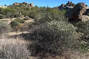 11404 E Troon Mountain Dr, Scottsdale, AZ 85255 - Photo 1