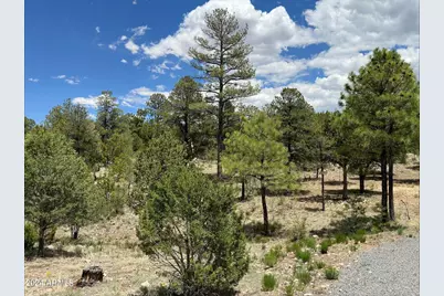 3337 Sawmill Ridge Loop #98, Heber, AZ 85928 - Photo 1
