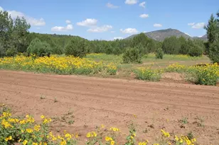 144 B N Ranch Rd, Williams, AZ 86046 - Photo 1