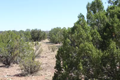 2122 Deeazinon Road #*-*, Heber, AZ 85928 - Photo 1