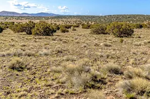 Tbd Co Rd 5106 Lot #2 1 1 Acres --, Concho, AZ 85924 - Photo 1