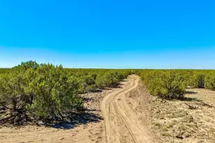 128 Co Rd 8061 1 27 Acres --, Concho, AZ 85924 - Photo 1