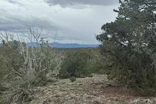 24 Acr 8051 --, Concho, AZ 85924 - Photo 1