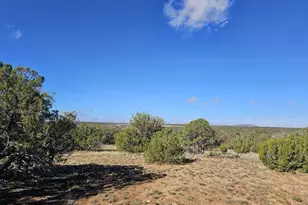 Tbd Chevelon Acres --, Heber, AZ 85928 - Photo 1