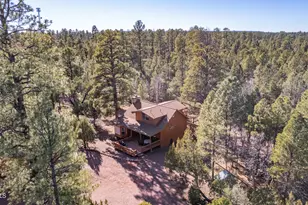 4966 Trail Cir, Happy Jack, AZ 86024 - Photo 1