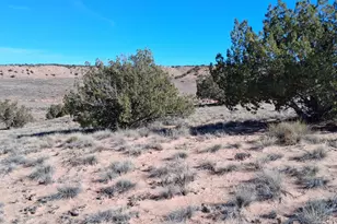 3 02 Acres Unnamed Rd, Sanders, AZ 86512 - Photo 1