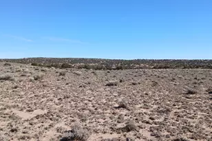 1 06 Acre Blackfoot Trail, Sanders, AZ 86512 - Photo 1