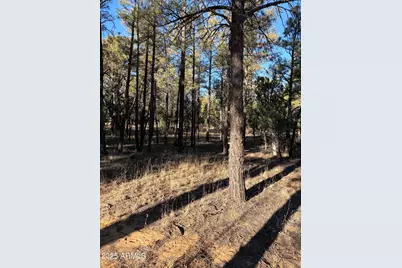 350 N Verbena Lane #81, Show Low, AZ 85901 - Photo 1