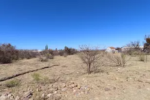 Tbd E Calle Matrecito --, Hereford, AZ 85615 - Photo 1