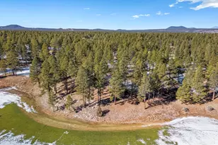 3616 S Woodland Hills Dr, Flagstaff, AZ 86005 - Photo 1