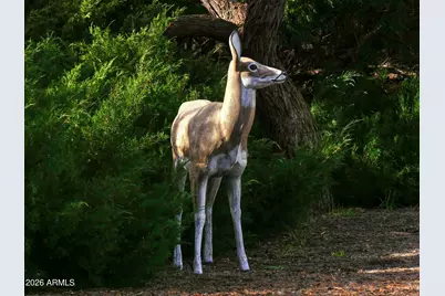 155 W Fort McDowell Place, Camp Verde, AZ 86322 - Photo 58