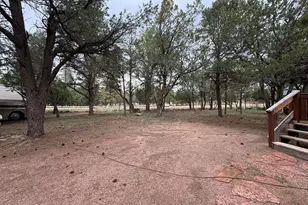 2953 Wildcat Trail, Overgaard, AZ 85933 - Photo 20