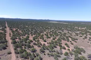 Xxx N7393 --, Sanders, AZ 86512 - Photo 1