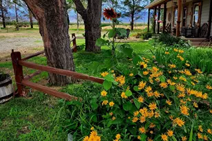 8255 N Fort Grant Rd, Willcox, AZ 85643 - Photo 1