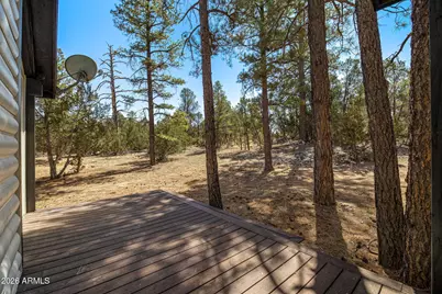 3310 Tonto Drive, Overgaard, AZ 85933 - Photo 38