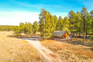 39291 Lake Mary Rd, Happy Jack, AZ 86024 - Photo 1