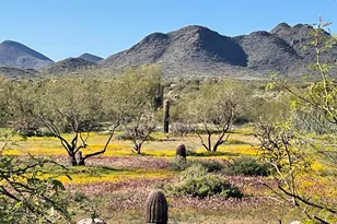 0 N 36th St, Cave Creek, AZ 85331 - Photo 1