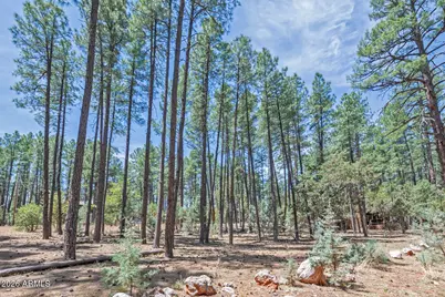 Lot 138 Marcy Way #138, Pine, AZ 85544 - Photo 1
